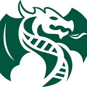 Event Home: 2027 Walt Disney World Marathon Weekend